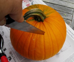 halloween-cutting