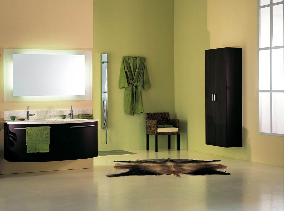 Popular Bathroom Colors 2010