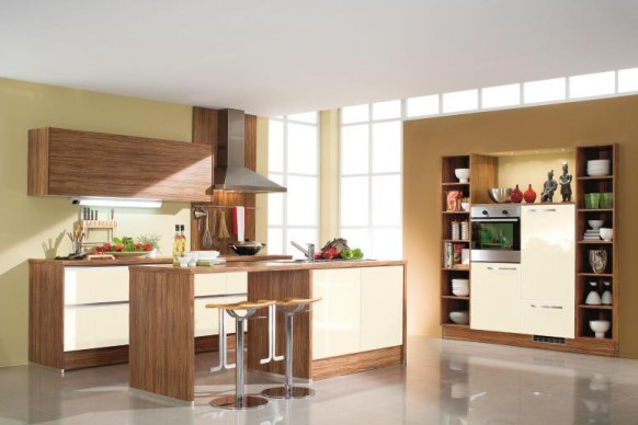 Contemporary Kitchens Design Ideas Wooden Kitchen Cabinets