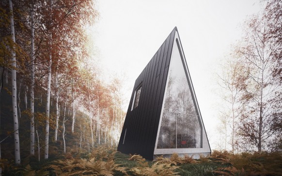 House Isn’t  Your Typical Forest Cottage 1