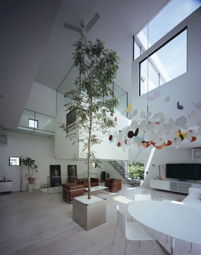 Houses with High Ceilings