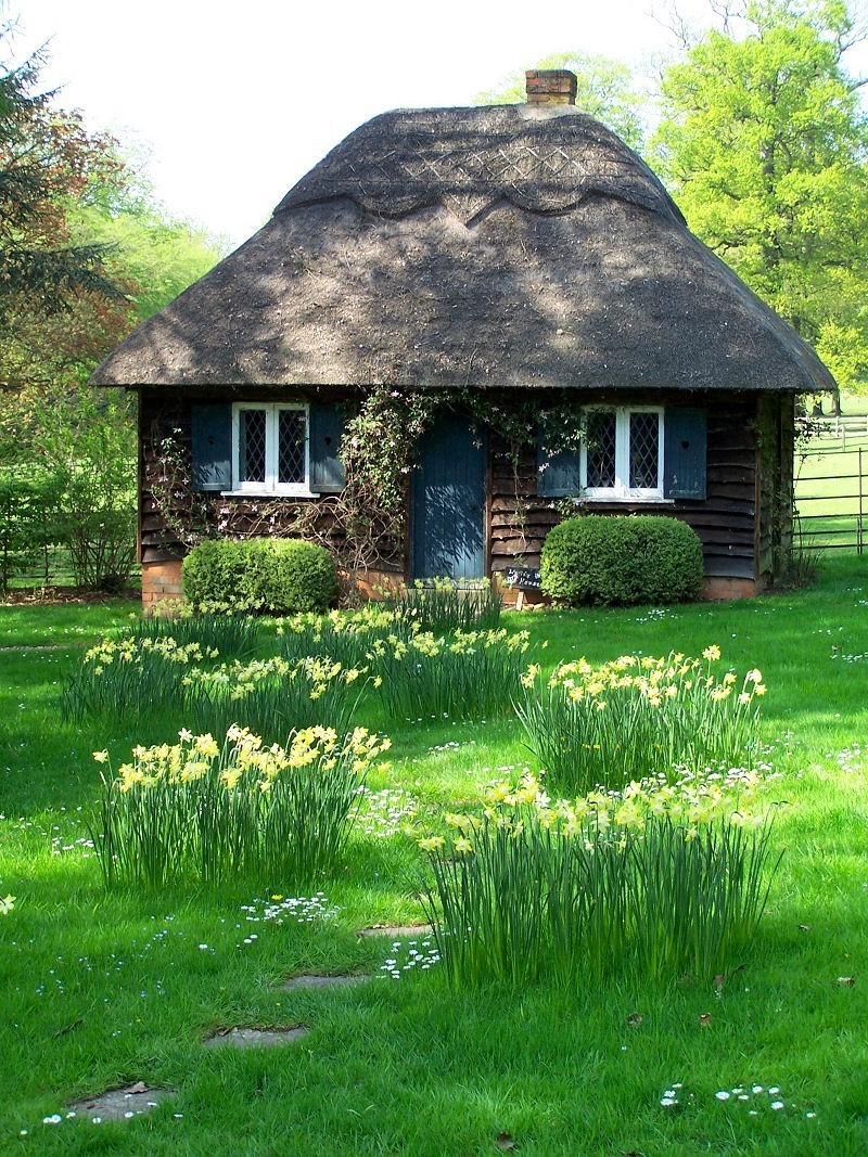 Download this Small Cottage House... picture