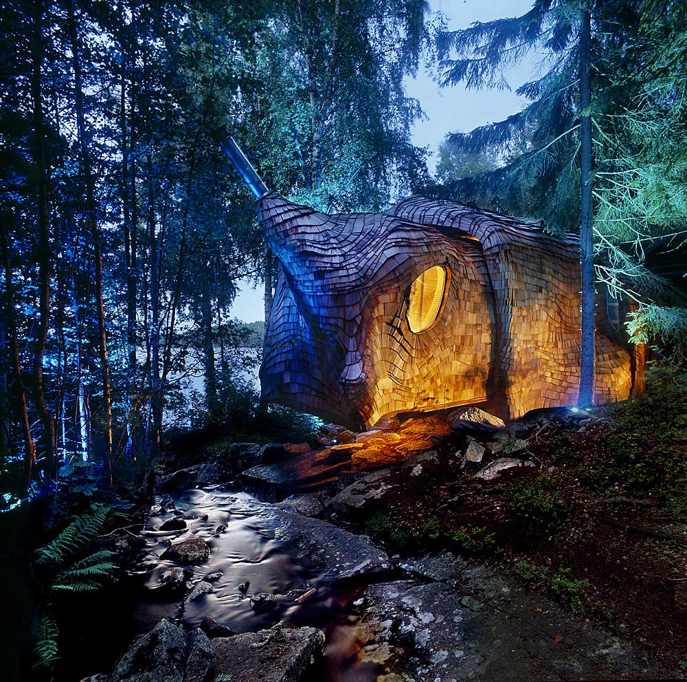 Home In Forest