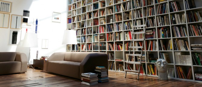 bookshelf and lounge