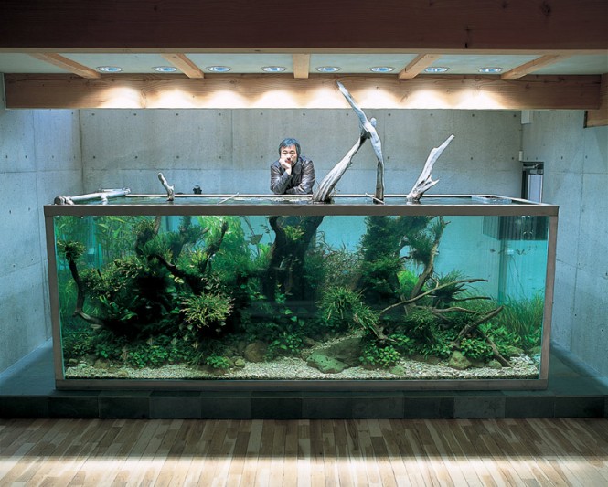 Mr Amano introduced the Japanese nature style during the 1980s, where a planted aquarium would aim to mimic a naturally growing scene and is influenced by Japanese gardening concept Wabi Sabi. The implementation of schools of fish is also favored in this genre, to obtain a gentle balance of life and nature.