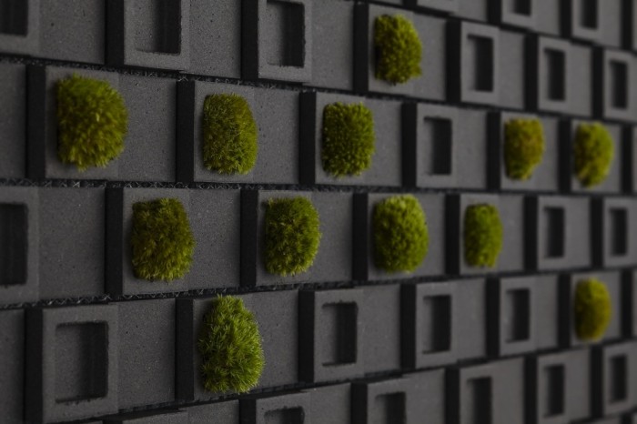 Living wall tiles such as these not only bring a natural element to the kitchen they make the environment healthier too.