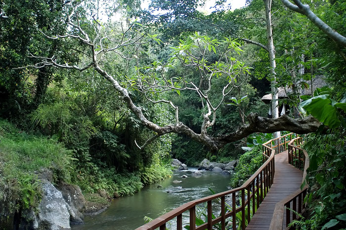 maya ubud river view 2