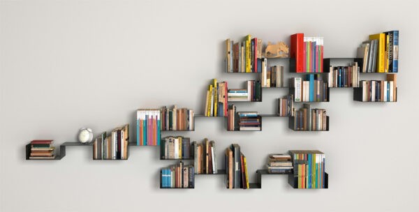 Carme Pinos- Moni book shelves black