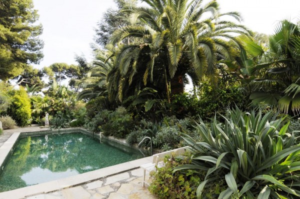 Pool landscape surrounded by greenery set in stone