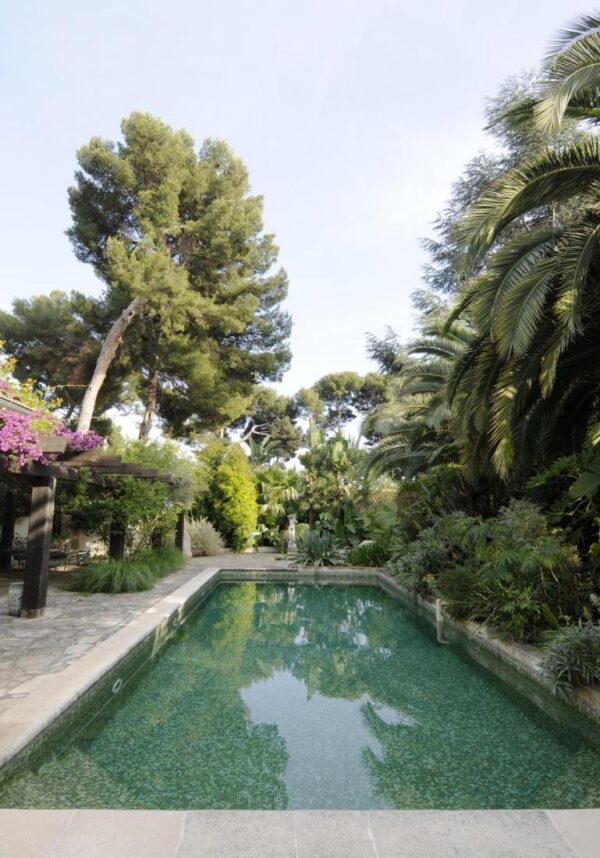 Pool portrait surrounded by greenery