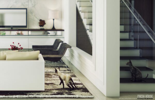 A staircase with glass railing leads up to the bedroom and office beyond.