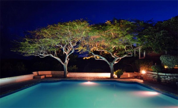 tree shaded pool by night