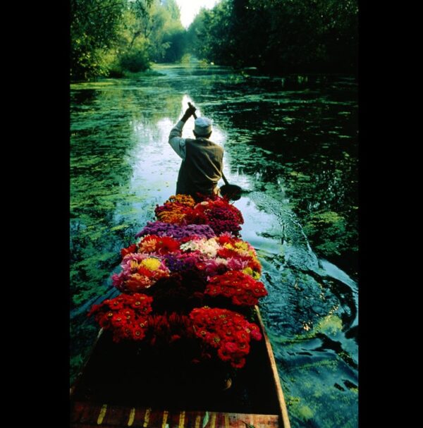 Not everyone needs a computer at their workplace. This flower trader in Dal Lake seems to agree.