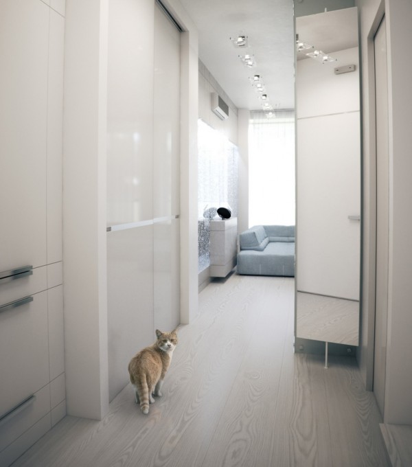Alexander Lysak Visualization- white mirrored hall to living room cat