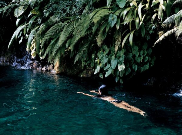 Como Shambhala Estate Bali- fresh water creek swimming under hanging foliage