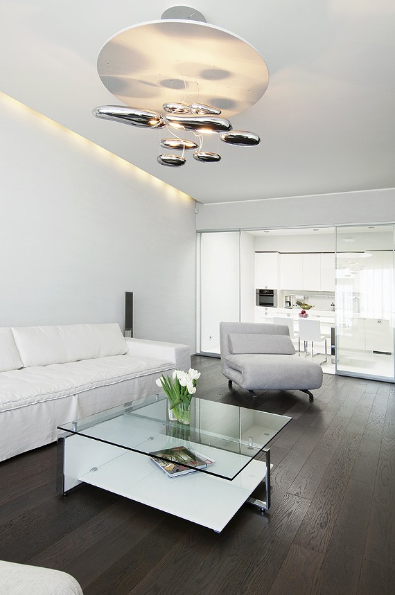 Living with neutral soft furnishings modern lighting dark wood flooring and view to glass kitchen portrait 2