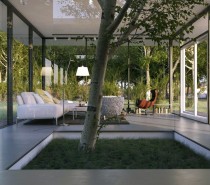 Le Anh- white living with indoor tree feature
