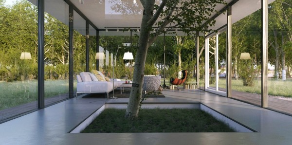 Le Anh- white living with indoor tree feature