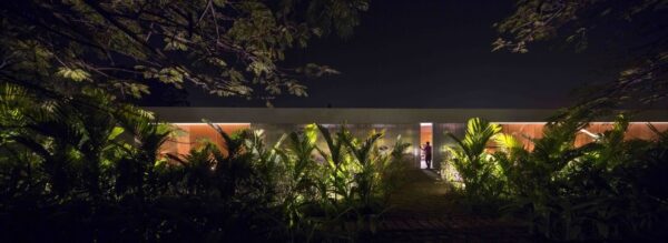 Marcio Kogan's Casa Lee Concrete House- palm fern and forest esterior at night