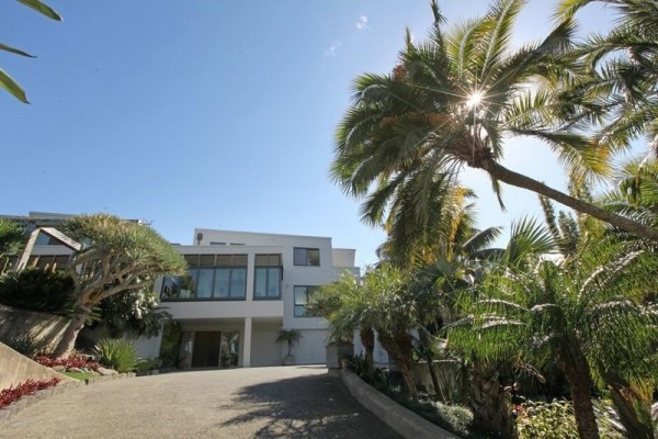 Sotheby's Auckland House- elevated driveway entrace flanked by palms