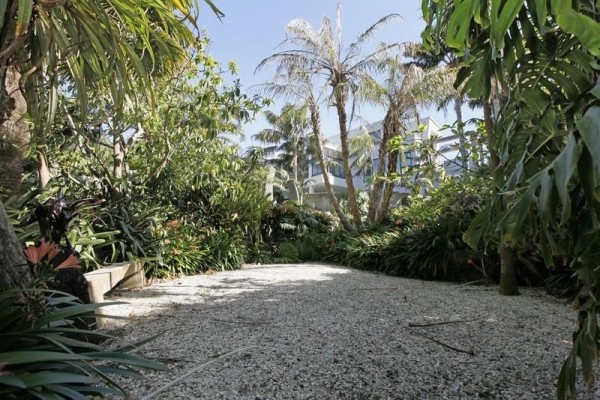 Sotheby's Auckland House- pebble garden surrounded by lush tropical plants