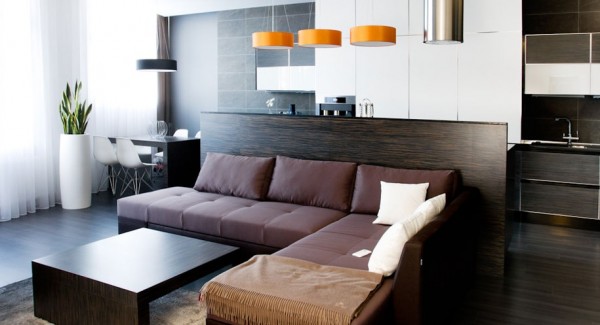 Svoya Studio- wood look living with modern fixtures