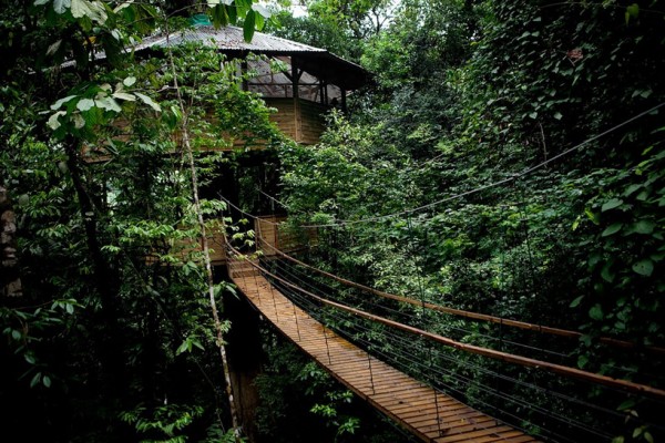 Sustainable treehouse exterior 2