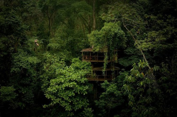 While some of the treehouses are connected by bridges, this one shows a zip line above the treeline connecting on house to the other.