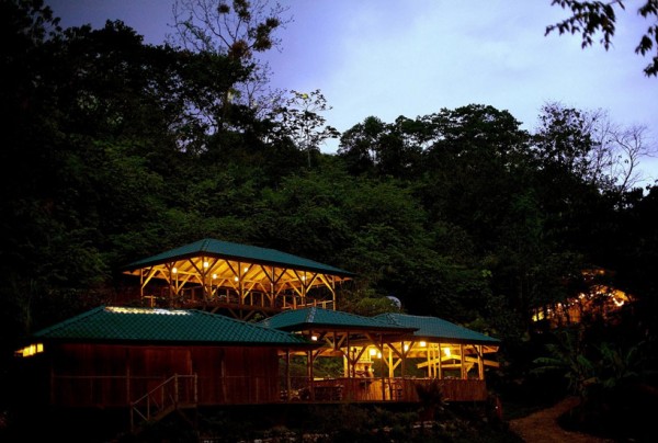 A nighttime view of the treehouse community shows several of the houses and how they are situated in relation to one another.