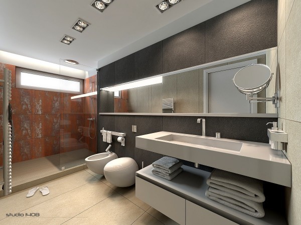 large apartment bathroom