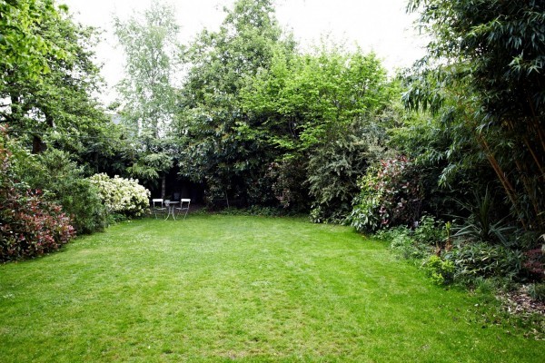 large yard