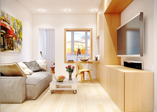 First Apartment Interior Design Ideas