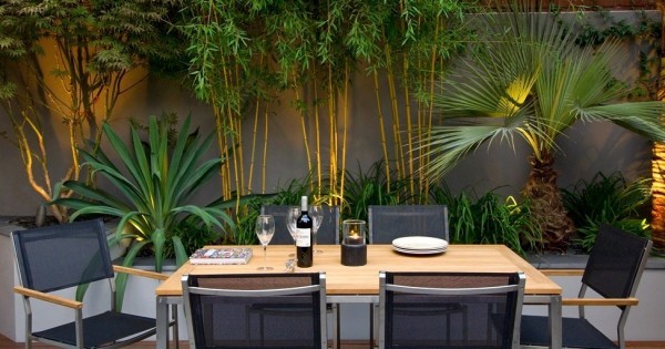 Architectural plants, bamboo and palms looks terrific with up-lighters at the root of the design.