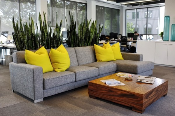 In this modern office space, both plants and furniture divide the area with tall spiky greenery emerging from the back of a low modern couch.