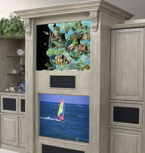 Wall Unit Aquarium