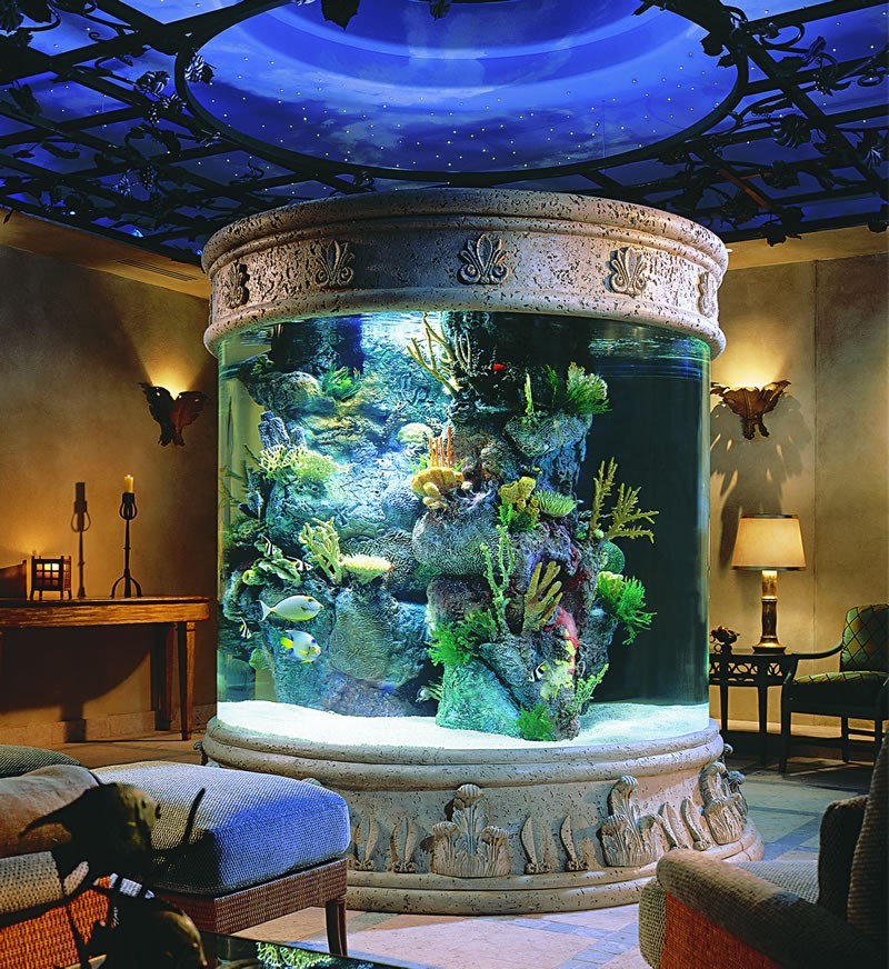 Aquariums Diffe Types Of