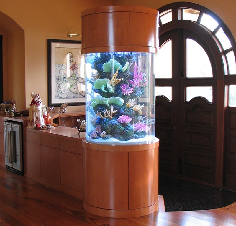 Aquariums Diffe Types Of