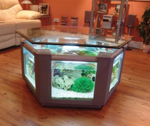 Coffee Table Aquarium