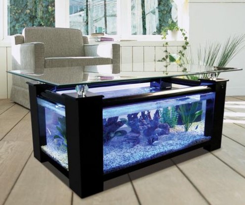 Coffee Table Aquarium