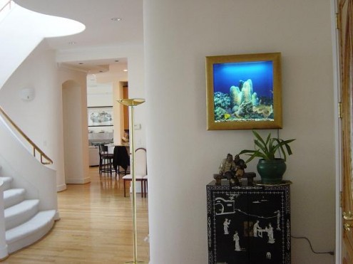 Wall Aquarium