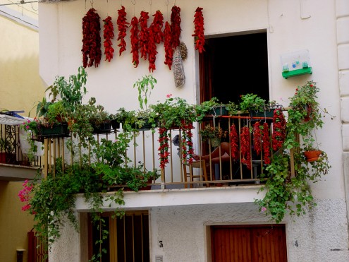 flowers on balcony