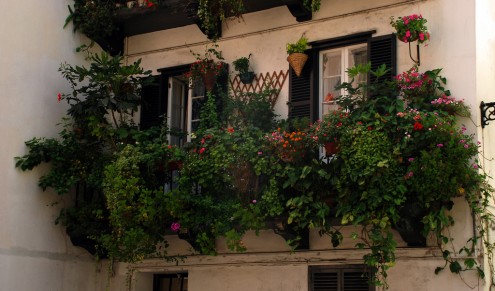 balcony with flowers