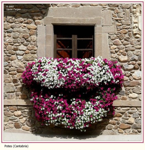 balcony with flowers