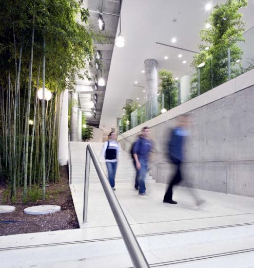 indoor garden