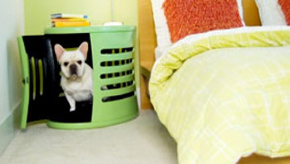 Spaces for Pets At Home