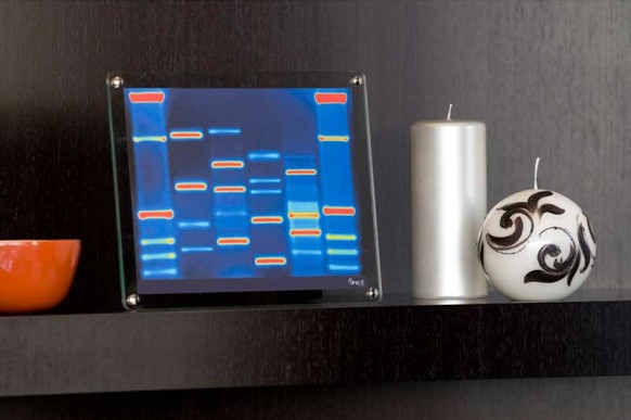 Mini DNA shelf