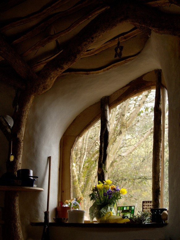 flowers by the window