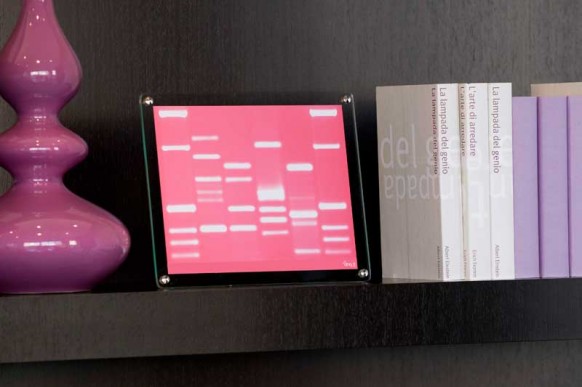 mini DNA book shelf
