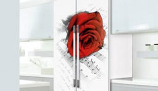 Painted Kitchen Furniture & Refrigerators