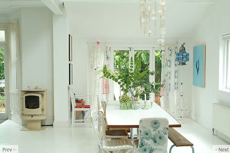 plants on the dining table